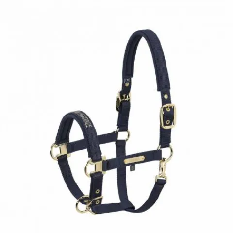 Hot Licol en nylon Heritage 25/26 - - Doublé néoprène Licols Et Longes