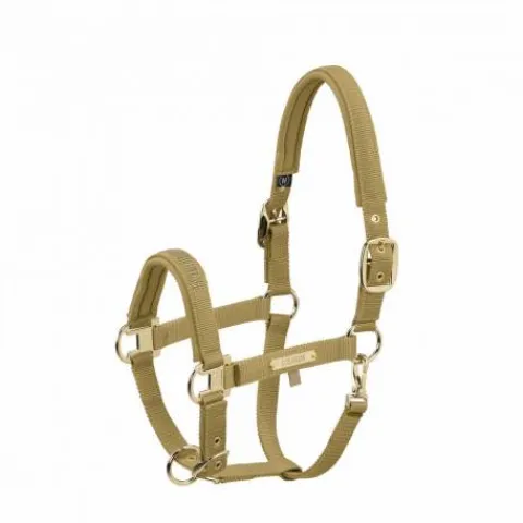 Hot Licol en nylon Heritage 25/26 - - Doublé néoprène Licols Et Longes