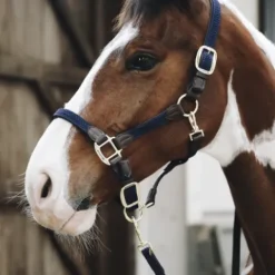Licol en nylon tressé - Kentucky Licols Et Longes