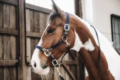 Licol en nylon tressé - Kentucky Licols Et Longes