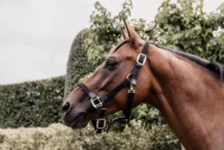 Licol en nylon tressé - Kentucky Licols Et Longes