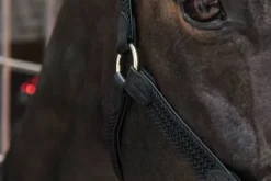 Licol en nylon tressé - Kentucky Licols Et Longes