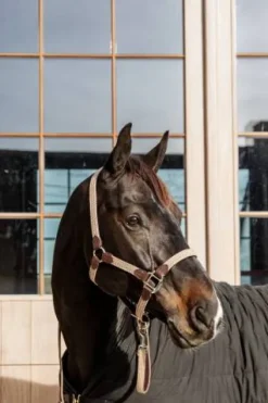 Licol en nylon tressé - Kentucky Licols Et Longes