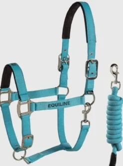 Online Licol et longe aquarelle - - nylon Licols Et Longes