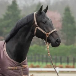 Discount Licol et longe Deluxe - - Rembourré en mesh Licols Et Longes