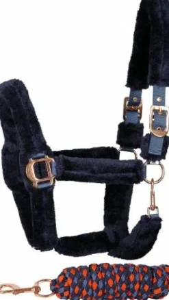 Clearance Licol et longe doublé - Harry's Horse Licols Et Longes