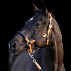 Discount Licol et longe Franka - Licols Et Longes