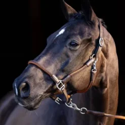 Discount Licol et longe Franka - Licols Et Longes