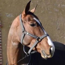 New Licol et Longe Casa Poney Licols Et Longes