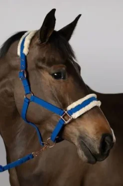 Clearance Licol et longe Holly Licols Et Longes