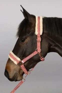 Clearance Licol et longe Holly Licols Et Longes