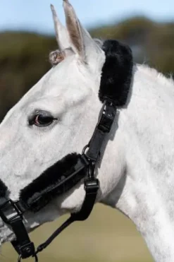 Discount Licol et longe Total Eclipse - Licols Et Longes