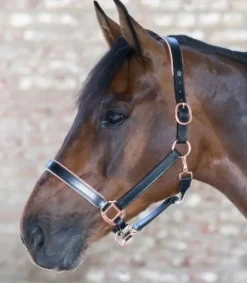 Discount Licol et longe X Line Licols Et Longes