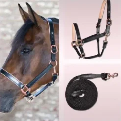 Discount Licol et longe X Line Licols Et Longes