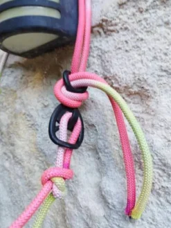 LICOL ETHOLOGIQUE Licols Et Longes