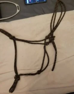 New Licol ethologique Licols Et Longes