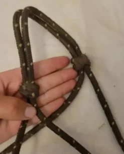 New Licol ethologique Licols Et Longes