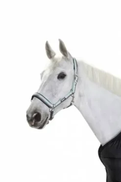 Licol ethologique Basics - - Nylon Licols Et Longes