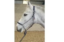 Clearance Licol ethologique Licols Et Longes