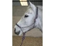 Clearance Licol ethologique Licols Et Longes