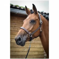 Online Licol Fancy - Collection One - Licols Et Longes