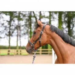 Online Licol Fancy - Collection One - Licols Et Longes