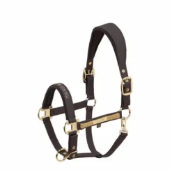 Best Licol Faux Leather Heritage 2025 - Licols Et Longes