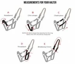 Hot Licol flexible à rupture , très sûr, sans frottements, large muserolle Licols Et Longes