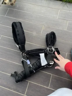 Clearance licol Licols Et Longes