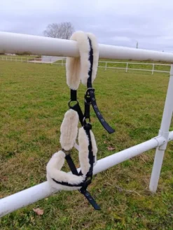 Online Licol fouganza Licols Et Longes