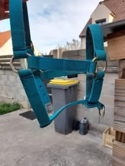 Best Licol Fouganza Turquoise Licols Et Longes