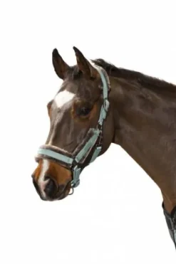 Hot Licol Glossy Faux Fur Classic Sport S/S 2021  - Licols Et Longes