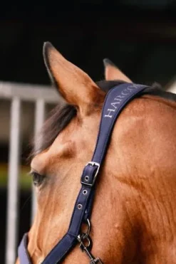 Hot Licol Hansy avec longe - - nylon Licols Et Longes