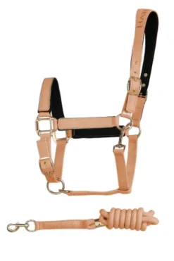 Hot Licol Hansy avec longe - - nylon Licols Et Longes