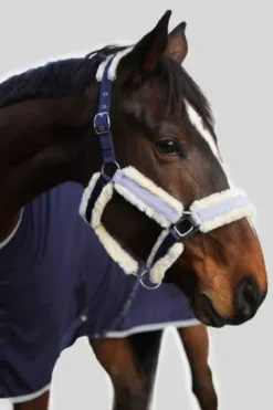 Discount Licol Hizia (2 coloris) Licols Et Longes