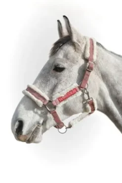 Discount Licol Hizia (2 coloris) Licols Et Longes