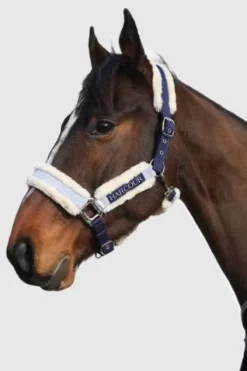 Discount Licol Hizia (2 coloris) Licols Et Longes