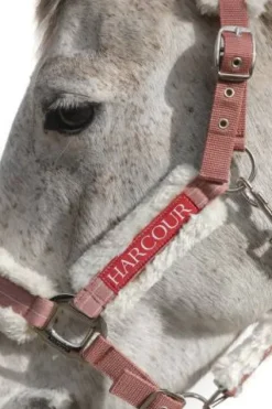 Discount Licol Hizia (2 coloris) Licols Et Longes