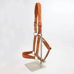 Sale Licol Haut de Gamme en cuir - Licols Et Longes