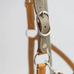 Sale Licol Haut de Gamme en cuir - Licols Et Longes