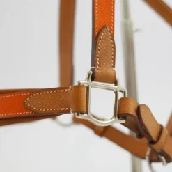 Sale Licol Haut de Gamme en cuir - Licols Et Longes