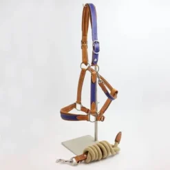 Licol Haut de Gamme en cuir + Longe - Licols Et Longes