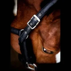 Discount Licol Hollywood Glamorous - Midnight Sparkle Licols Et Longes