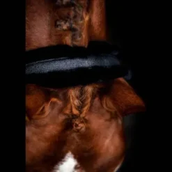 Discount Licol Hollywood Glamorous - Midnight Sparkle Licols Et Longes