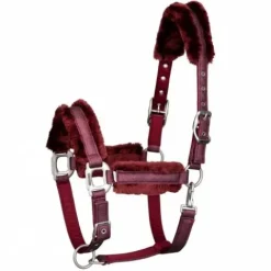 Sale Licol Hollywood Glamorous - - Bande pailletée et strass Licols Et Longes