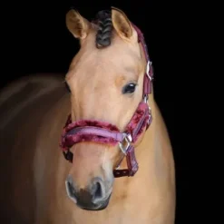 Sale Licol Hollywood Glamorous - - Bande pailletée et strass Licols Et Longes