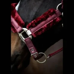 Sale Licol Hollywood Glamorous - - Bande pailletée et strass Licols Et Longes