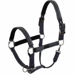 New Licol Jade - - Doublure en suédine, réglable Licols Et Longes