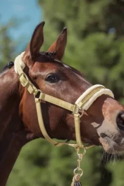 Best Licol Jewel Faux Fur Heritage 2025 - Licols Et Longes