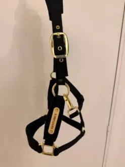 LICOL KENTUCKY VELVET Licols Et Longes